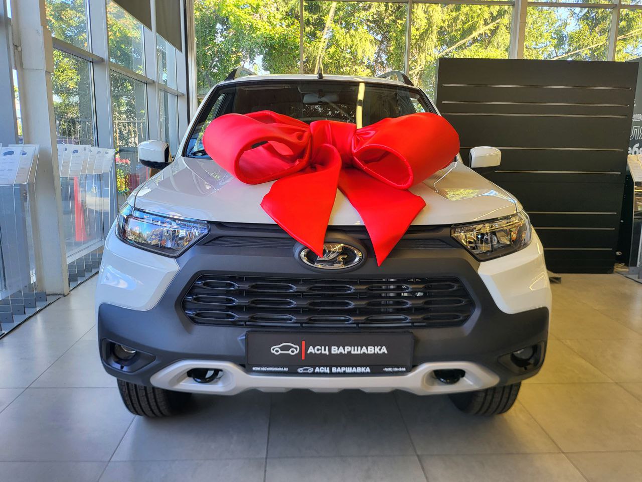 Спецпредложение